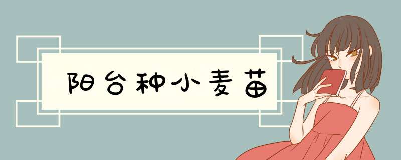 阳台种小麦苗