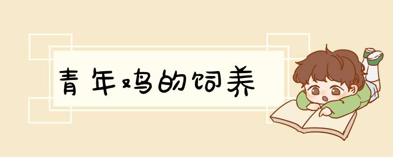 青年鸡的饲养