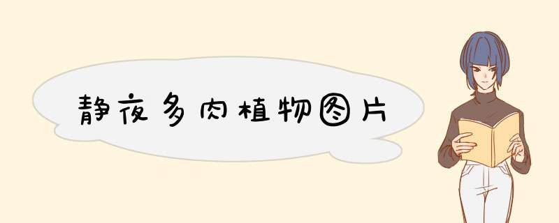 静夜多肉植物图片