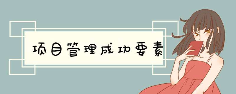 项目管理成功要素