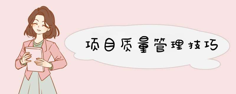 项目质量管理技巧