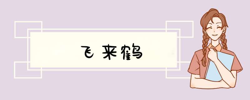飞来鹤