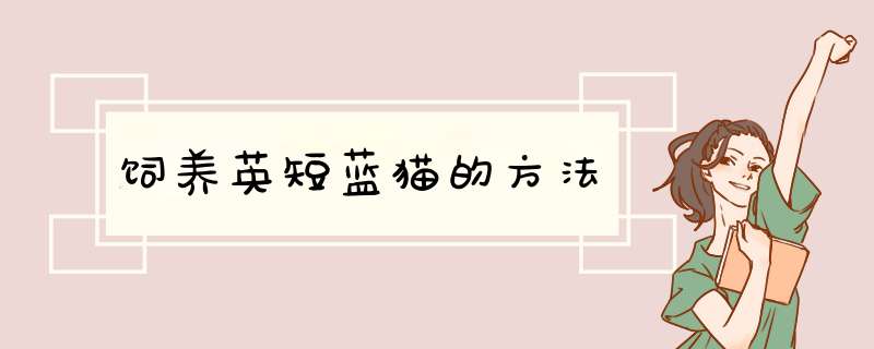 饲养英短蓝猫的方法