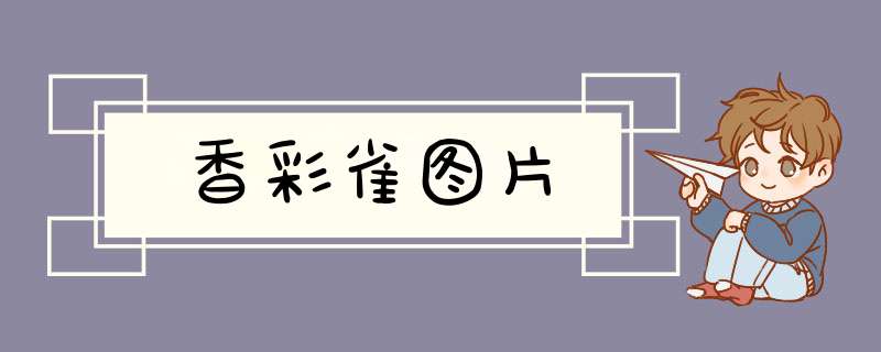 香彩雀图片