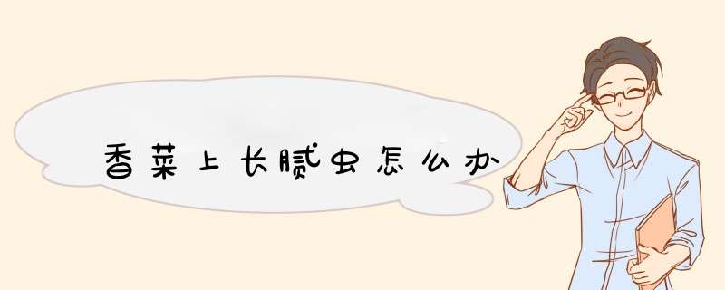 香菜上长腻虫怎么办
