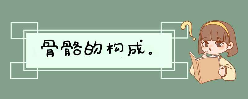 骨骼的构成。