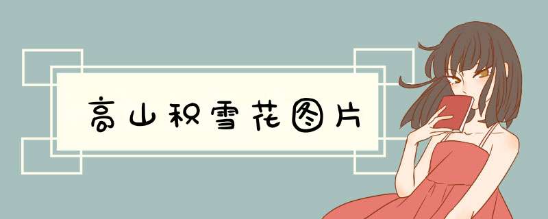 高山积雪花图片