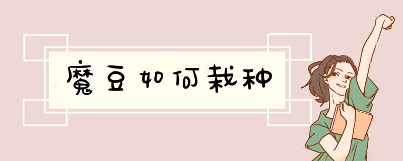 魔豆如何栽种