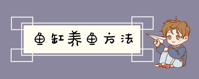 鱼缸养鱼方法