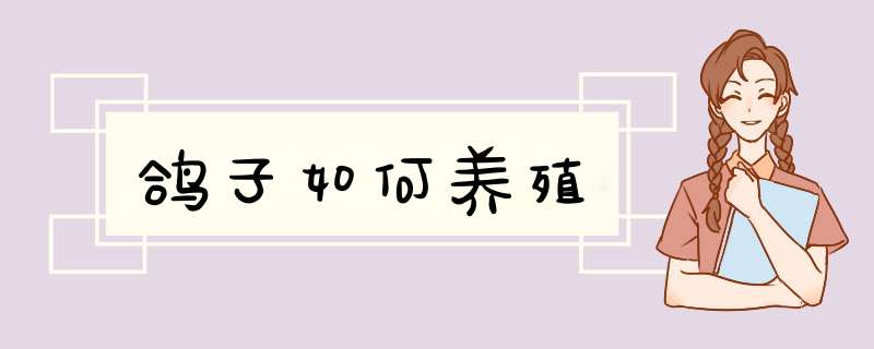 鸽子如何养殖