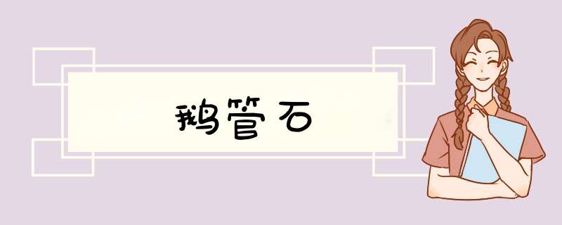 鹅管石