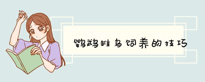 鹦鹉雏鸟饲养的技巧