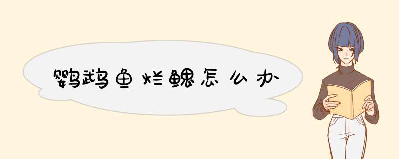 鹦鹉鱼烂鳃怎么办