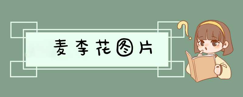 麦李花图片