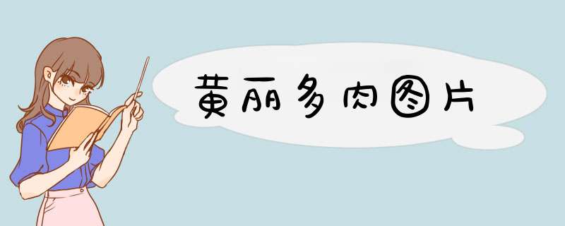 黄丽多肉图片