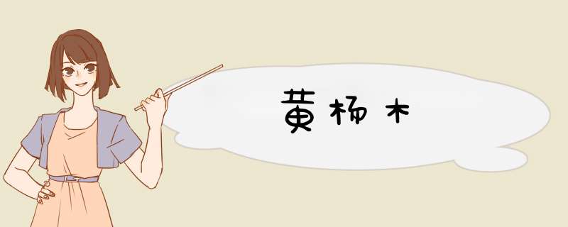 黄杨木
