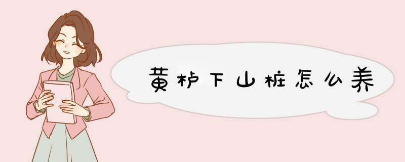 黄栌下山桩怎么养