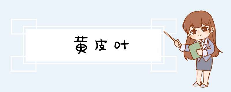 黄皮叶