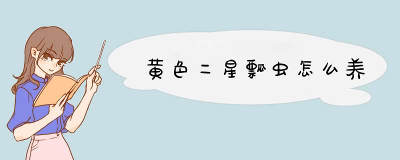 黄色二星瓢虫怎么养