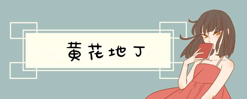 黄花地丁