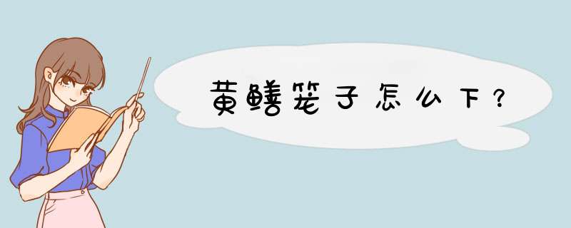 黄鳝笼子怎么下？