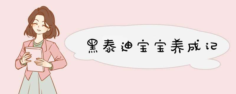 黑泰迪宝宝养成记