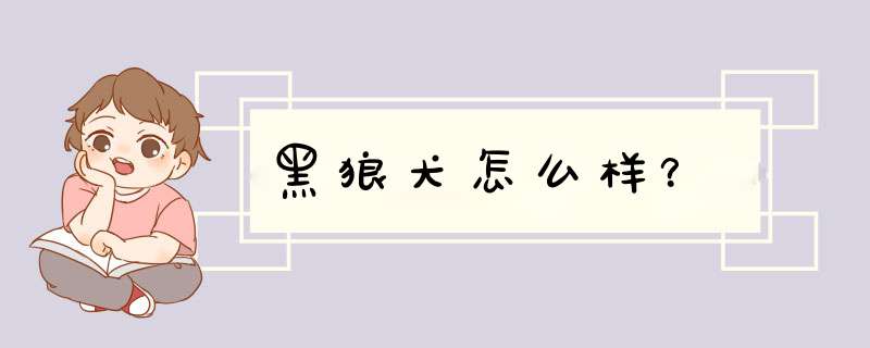 黑狼犬怎么样？