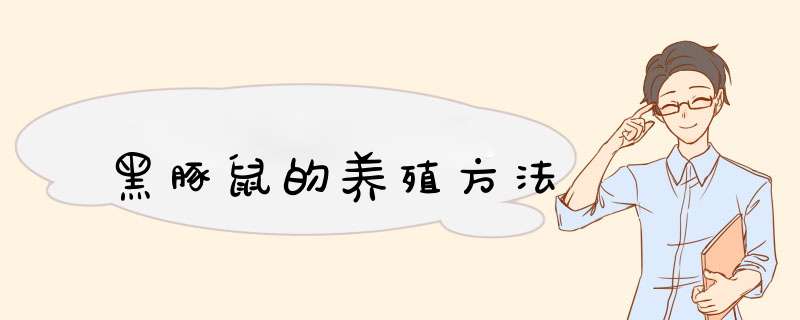黑豚鼠的养殖方法