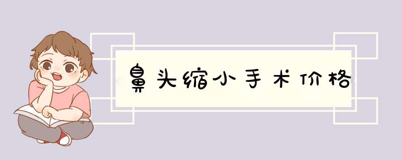 鼻头缩小手术价格