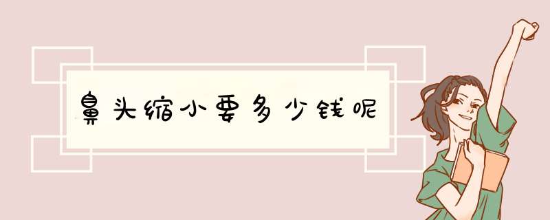 鼻头缩小要多少钱呢