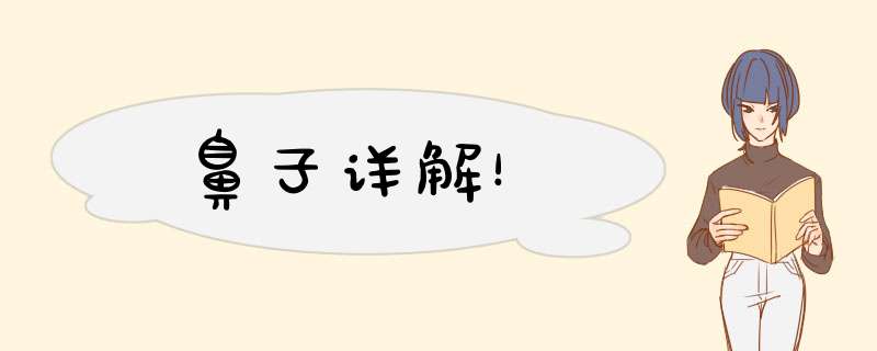 鼻子详解！