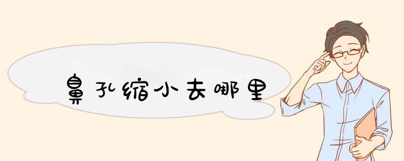 鼻孔缩小去哪里
