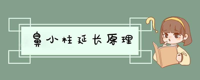 鼻小柱延长原理