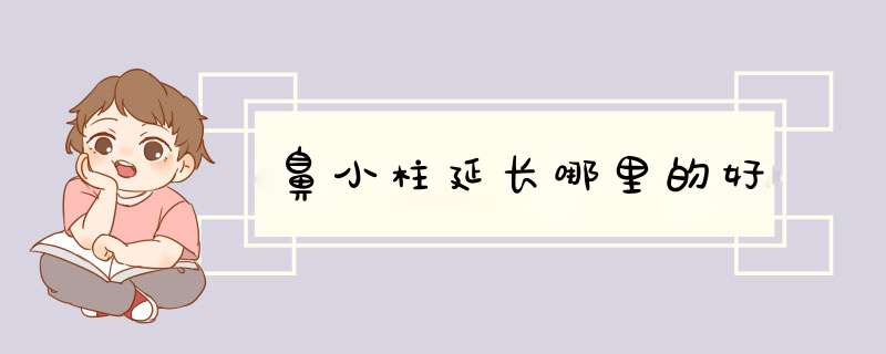 鼻小柱延长哪里的好