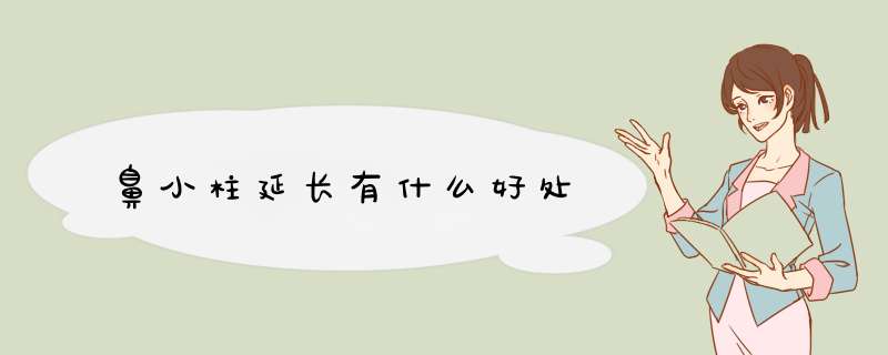 鼻小柱延长有什么好处