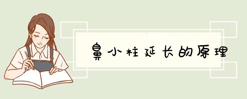鼻小柱延长的原理