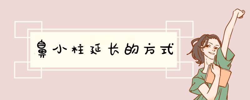 鼻小柱延长的方式