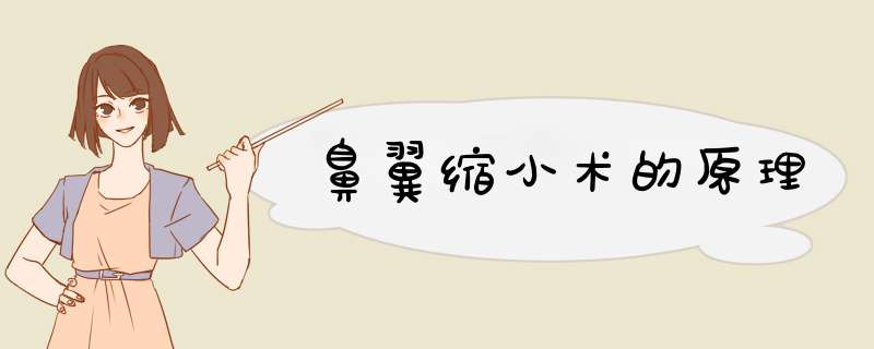 鼻翼缩小术的原理