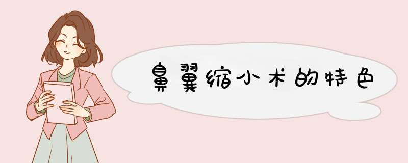 鼻翼缩小术的特色