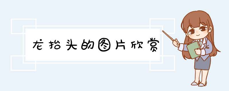 龙抬头的图片欣赏