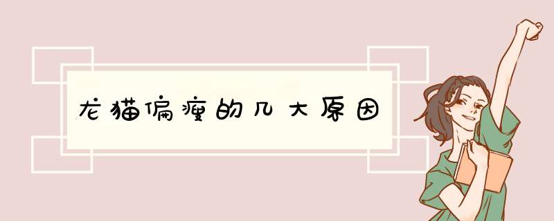 龙猫偏瘦的几大原因