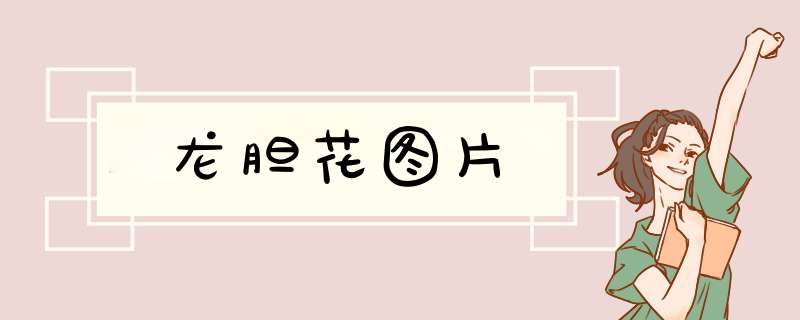 龙胆花图片