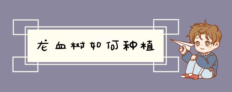 龙血树如何种植