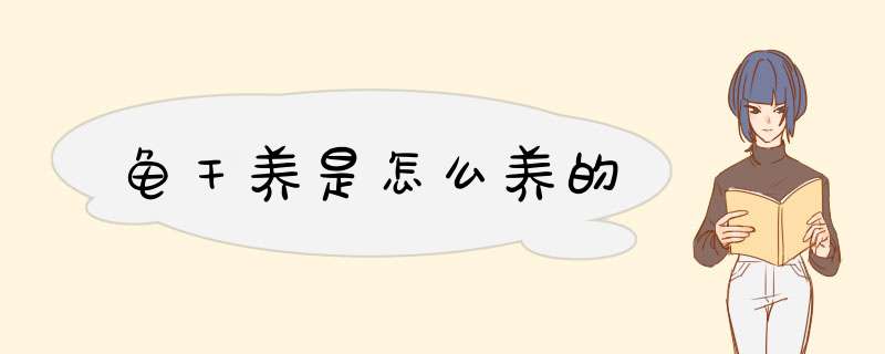 龟干养是怎么养的